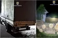 Lemn de esență foarte rară, utilizat pentru viori de valoare, confiscat de polițiștii suceveni
