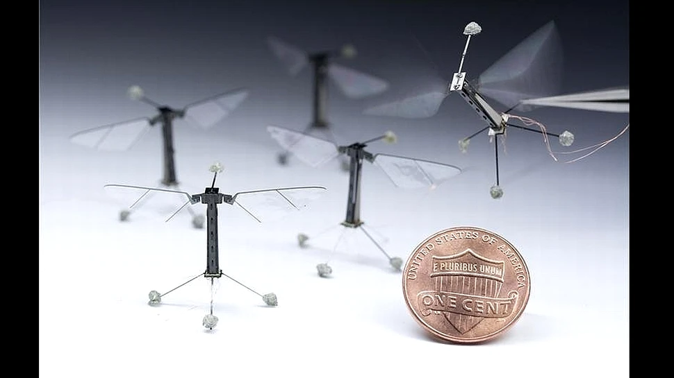 Uluitor: cel mai mic robot zburător realizat vreodată are dimensiunile unei muşte (VIDEO)