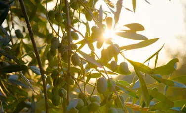 Care este cel mai însorit loc de pe Pământ?
