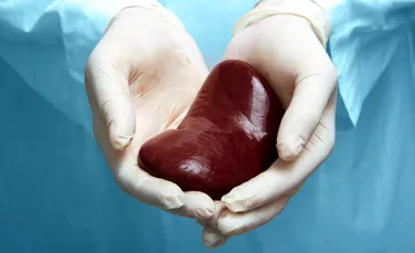 Medicii au transplantat, în premieră mondială, un organ congelat și decongelat