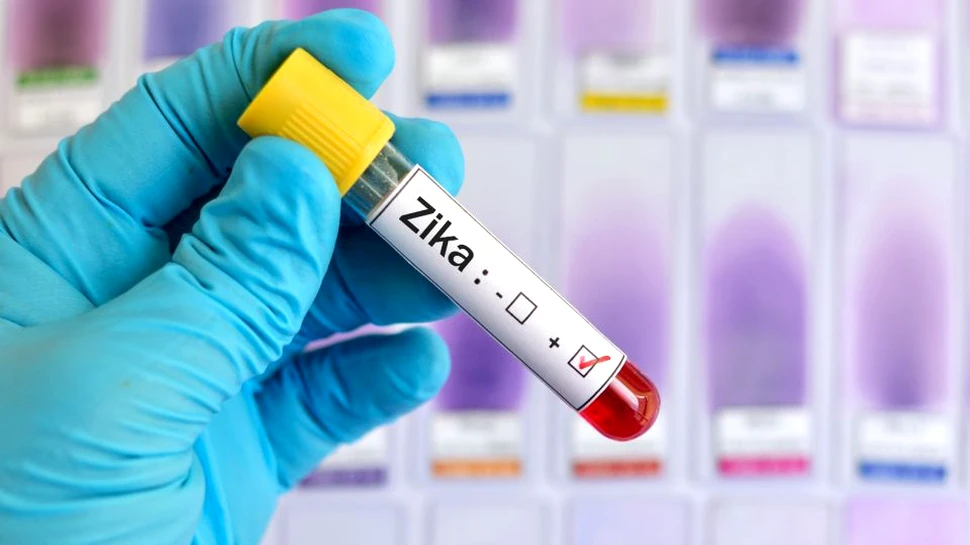 Un virus extrem de periculos ar putea ajuta la tratarea cancerului cerebral