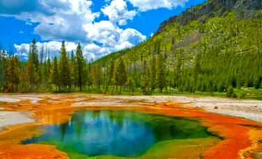 Gheizerele din Parcul Național Yellowstone riscă să dispară