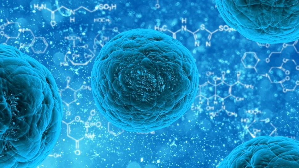Crearea celulelor stem va fi mai uşoară datorită unei noi proteine descoperite care contribuie la acest proces