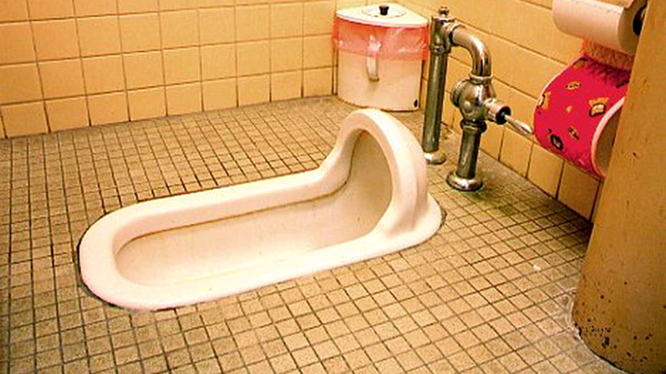 ONU a proclamat 2008 anul toaletelor