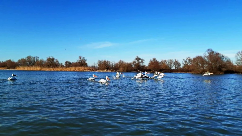 Doar 35.000 de turiști în Delta Dunării în sezonul de vară. Câți au fost anul trecut