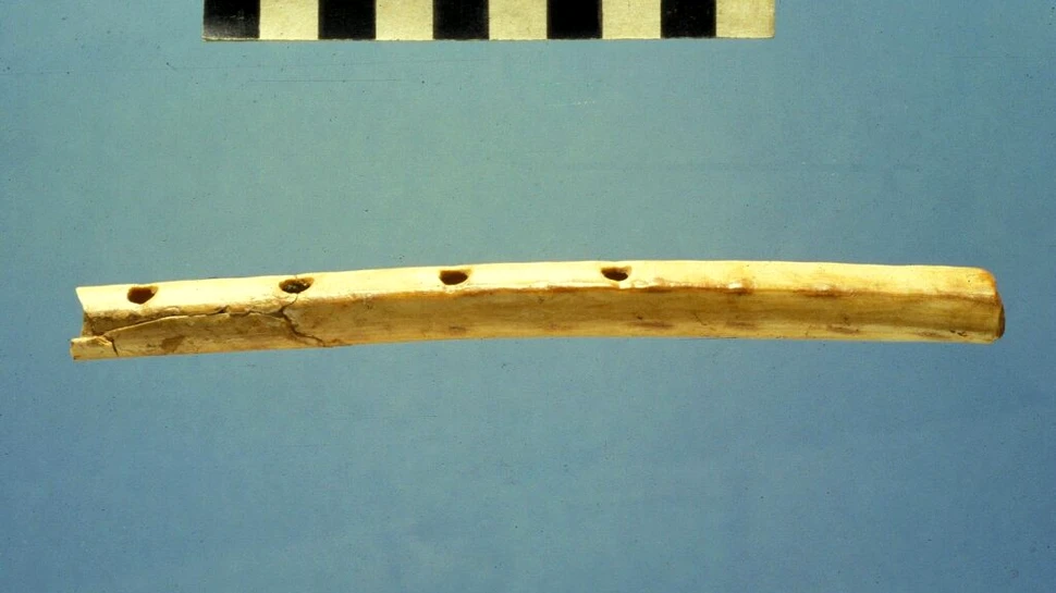 Un flaut rar, făcut din os, a fost dezgropat de arheologii britanici