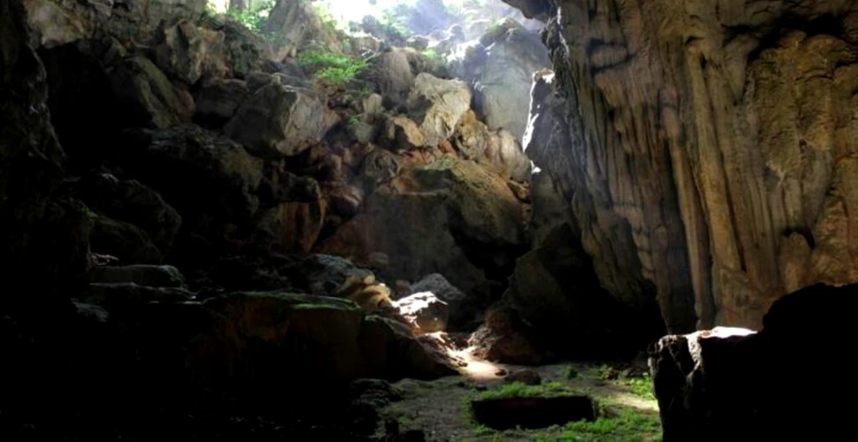 Cele mai vechi urme ale strămoșilor umani în drum spre Australia, descoperite într-o peșteră din Laos