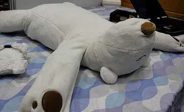 Japonezii au inventat ursul-robot anti-sforăit (VIDEO)