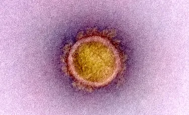 Primul caz de COVID-19 nu a fost în Wuhan. Prima variantă a coronavirusului circula deja în octombrie 2019