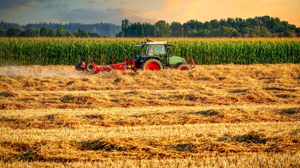 Cum va fi anul agricol 2023? Grâul şi rapiţa au răsărit şi arată foarte bine