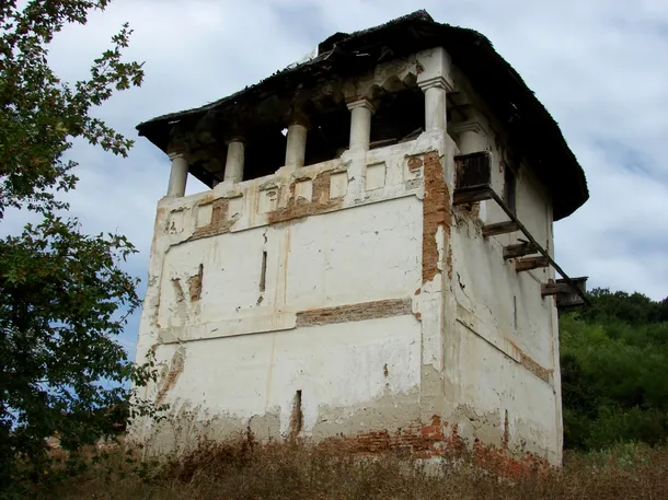 Vechile conace boiereşti din Oltenia sunt în paragină