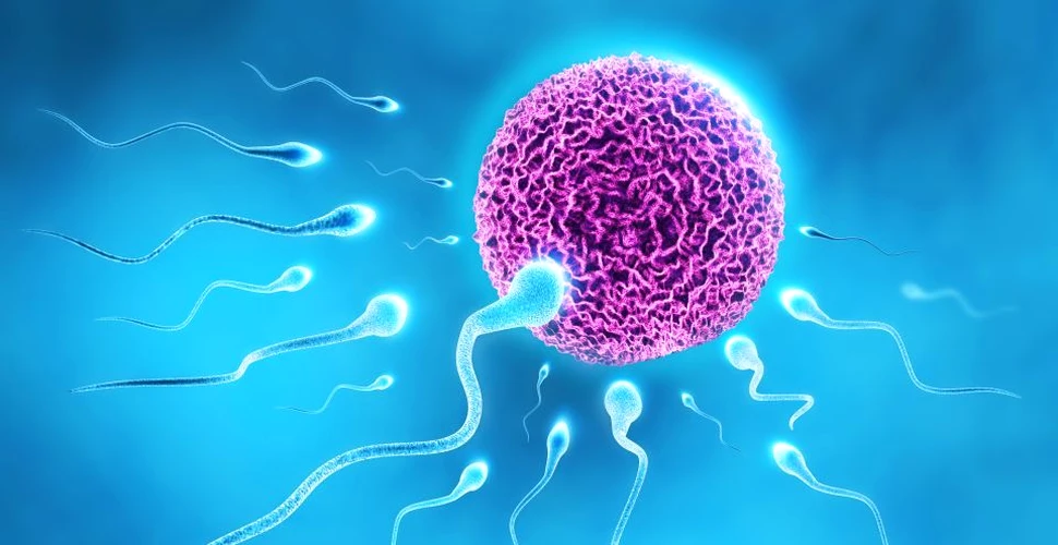 Aplicaţia pentru smartphone care testează fertilitatea spermei