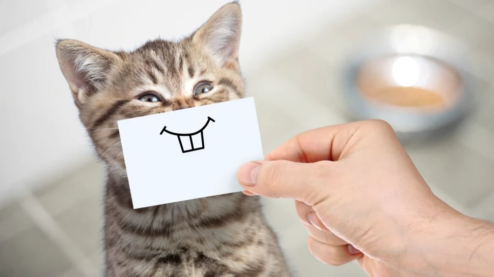 Umorul este un instrument esențial pentru o îmbătrânire sănătoasă