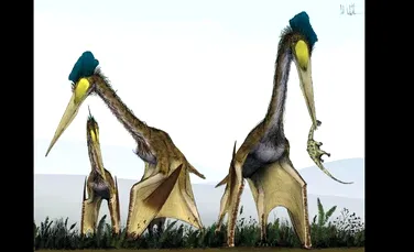 În România au fost descoperite fosilele unei reptile zburătoare contemporane cu dinozaurii