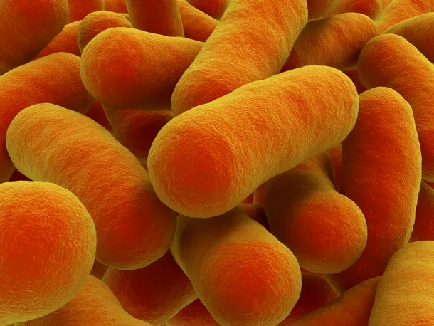 Unele bacterii din genul Bacillus s-au dovedit incredibil de rezistente la condiţii extrem de dificile de viaţă.