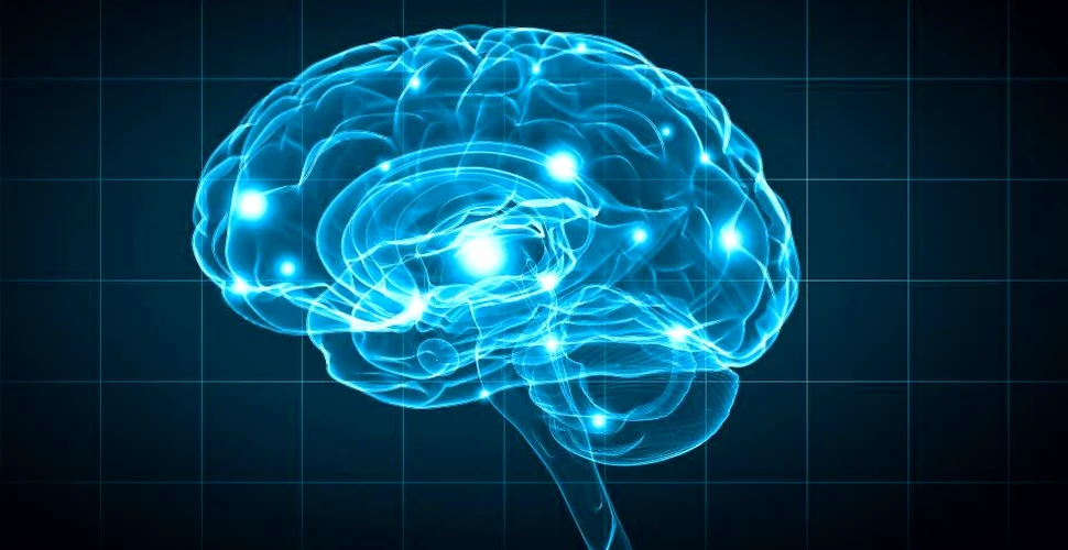 Un grup de cercetători a analizat regiunile din creier implicate în liberul arbitru, ajungând la o concluzie surprinzătoare