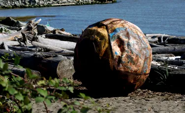 Ce ar putea fi sfera metalică ciudată care a eșuat pe o plajă din Japonia?