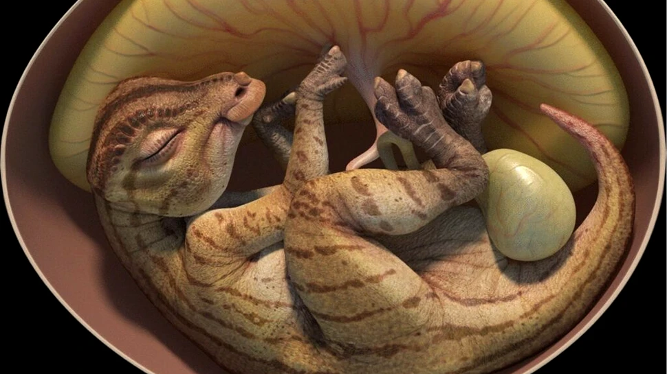 Embrioni de dinozaur, vechi de 66 de milioane de ani, au fost găsiți în China