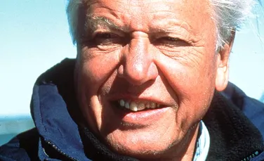 Sir David Attenborough: Suprapopularea e sursa  tuturor problemelor de mediu