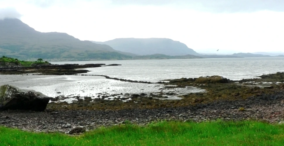 Fosile vechi de un miliard de ani au fost descoperite în Scoţia