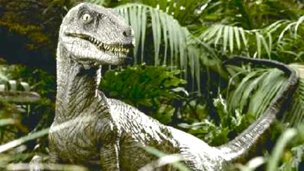 Crater in centrul Africii, provocat de un asteroid