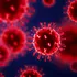 A fost descoperit un nou coronavirus la liliecii din Brazilia
