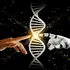 Oamenii de știință au folosit Inteligența Artificială pentru a edita ADN-ul uman