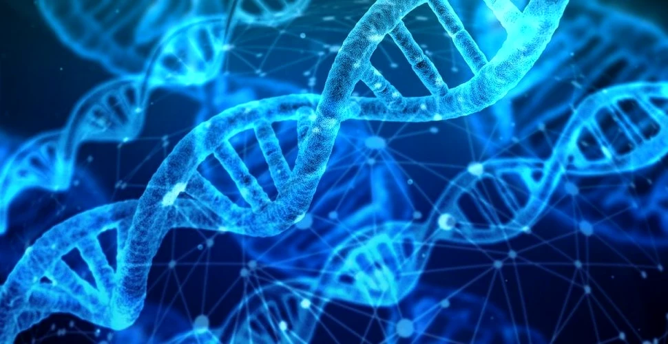 Mai puțin de 10% din genomul uman este unic. Descoperirea surprinzătoare făcută de cercetători
