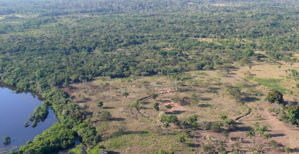 Misterul cercurilor construite cu mii de ani în urmă în jungla amazoniană. Ce au aflat cercetătorii?