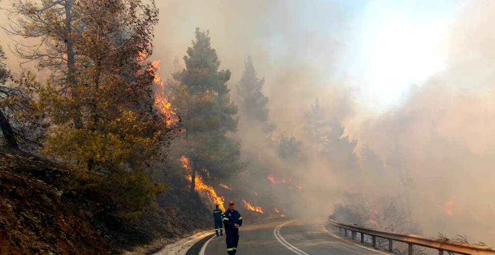 Risc „extrem de ridicat” în Grecia din cauza incendiilor de vegetație