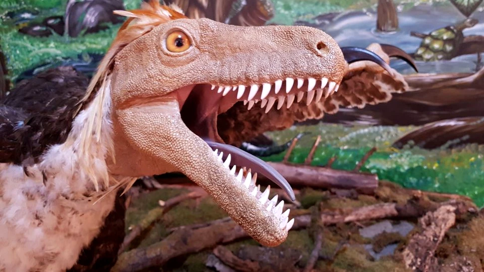 Festivalul Dinozaurilor 2018, descoperirea valorilor Geoparcului din Ţara Haţegului