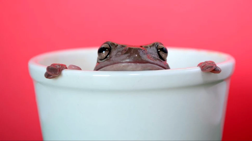 Un astrofizician avertizează că omenirea riscă „să fiarbă ca o broască într-o oală cu apă clocotită”