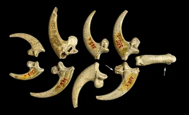 Cele mai vechi bijuterii din lume, realizate în urmă cu 130.000 de ani, au fost autentificate în Croaţia