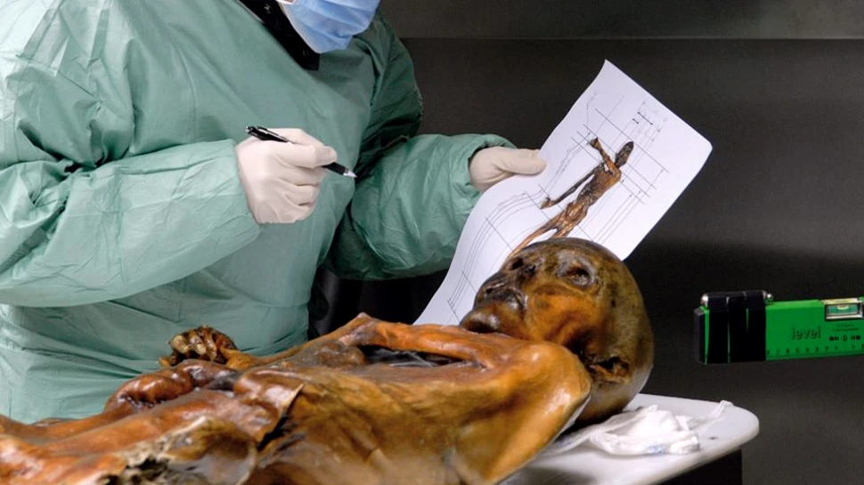 Cel mai vechi caz de omucidere, vechi de 5.300 de ani, ascunde un lucru impresionant