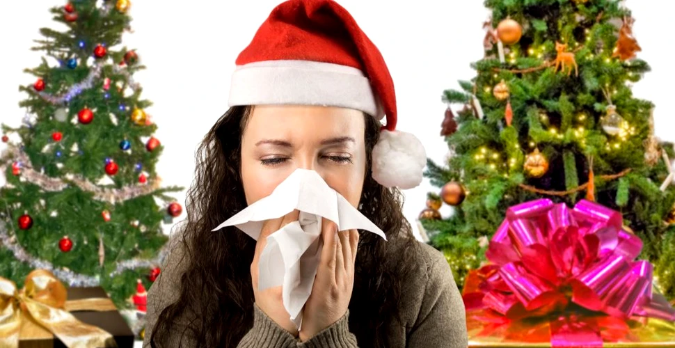 Sindromul bradului de Crăciun ar putea fi un pericol pentru sănătate, mai ales dacă aveți astm