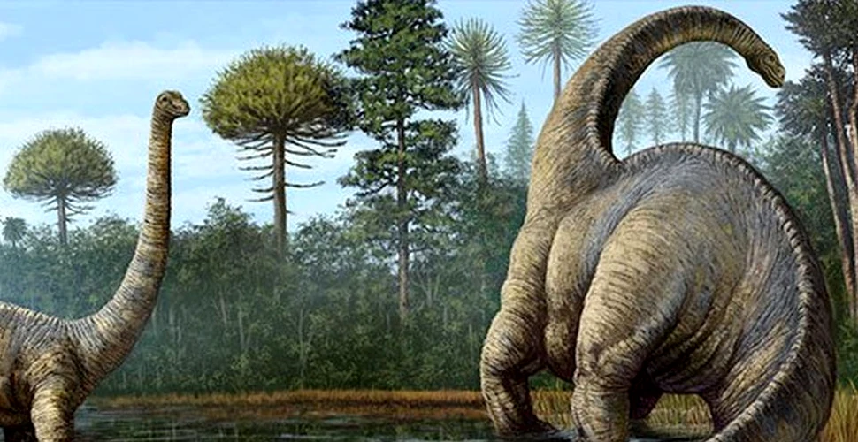 Dinozaurii au devenit specia dominantă în urma unei extincţii masive ce a avut loc în urmă cu 230 de milioane de ani
