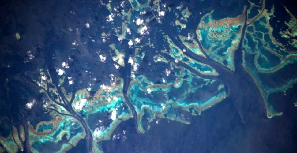 Imagini spectaculoase surprinse din spaţiu: Pământul, altfel decât îl ştim