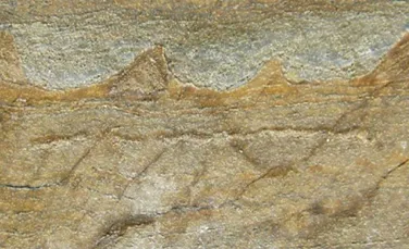 Cea mai veche fosilă de pe Pământ, descoperită recent. Conţine primele dovezi ale vieţii de pe Terra