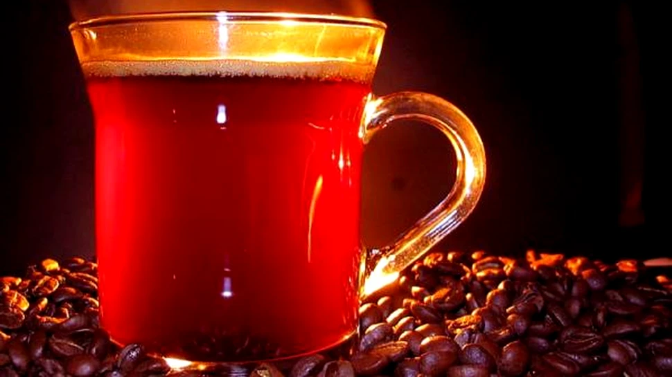 Zatul de cafea, o noua sursa pentru biocombustibili