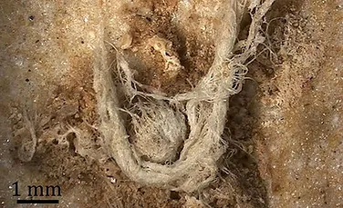 Cum arată şi câte mii de ani are cea mai veche bucată de pânză făcută de mâna omului