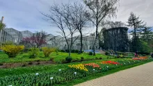 Prima grădină botanică din România