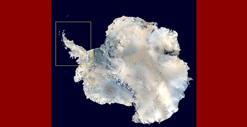 O banchiză din Antarctica s-a micşorat cu 85%