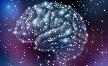 A fost descoperit unul dintre cei mai importanţi receptori din creier care ne asigură sănătatea mentală