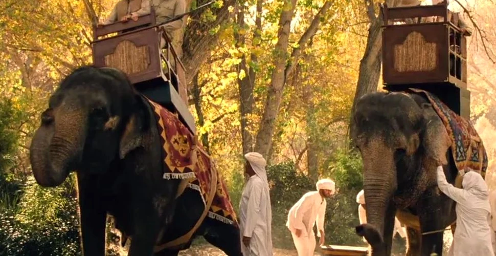 HBO, criticat pentru că a folosit elefanţi reali pentru serialul ”Westworld”. Ce au răspuns reprezentanţii televiziunii