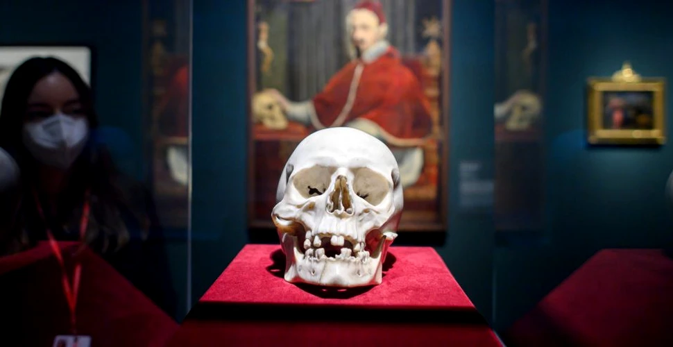 Craniul de marmură al lui Bernini, prima operă de artă sculptată supusă analizelor medico-legale