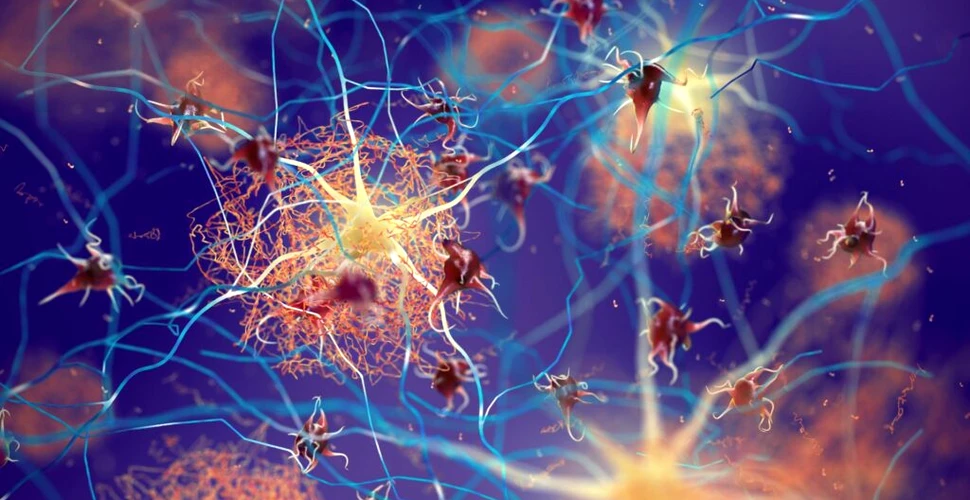 Cercetătorii au descoperit 5 variante biologice de Alzheimer