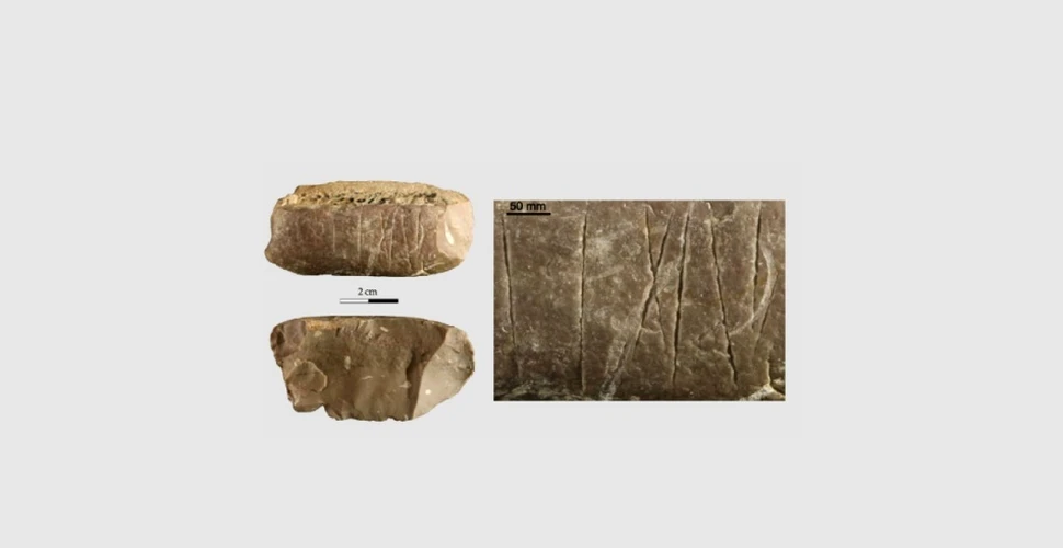 Un artefact de acum 30.000 de ani sugerează că oamenii foloseau un limbaj complex
