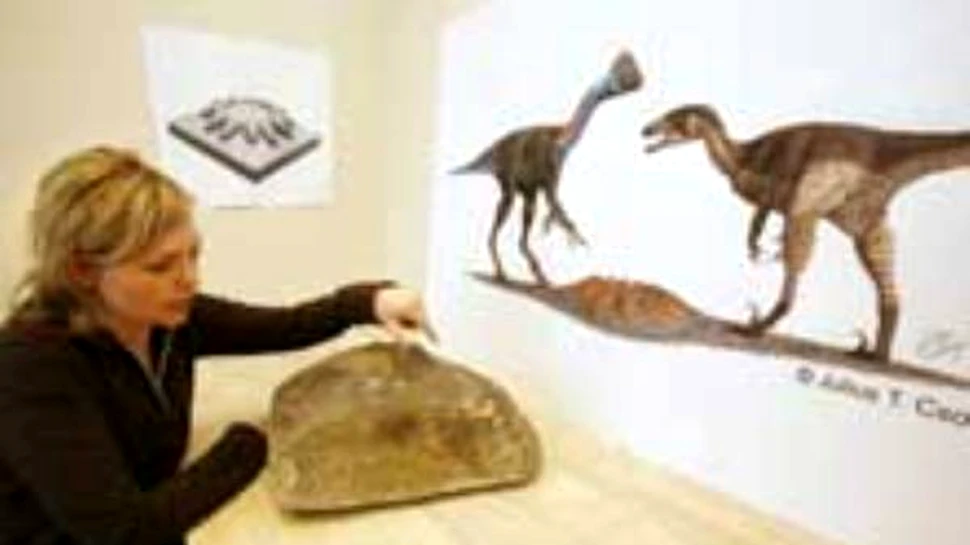 A fost descoperit primul cuib de dinozauri carnivori
