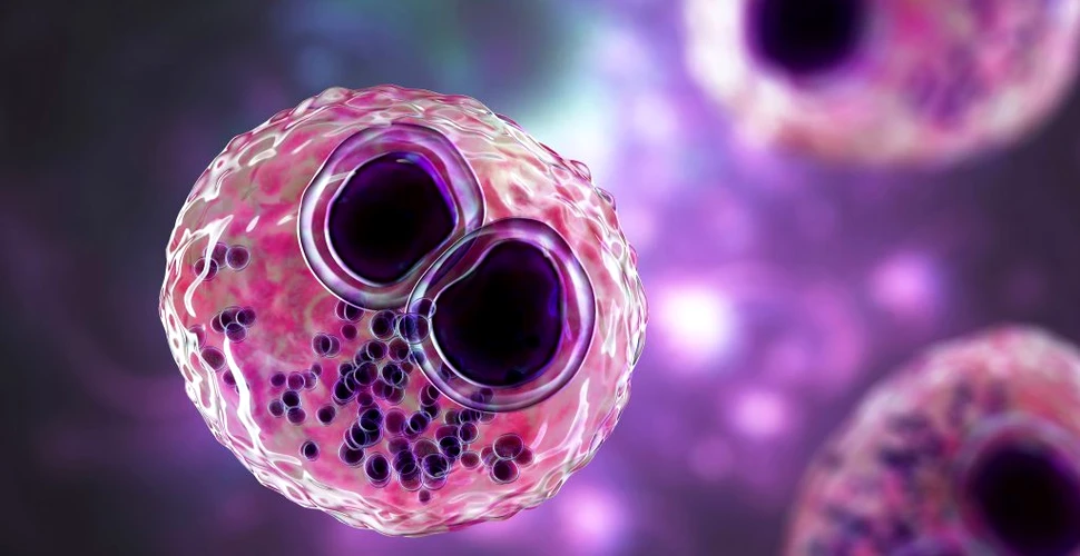 Virusul HIV latent, eliminat din celule cu ajutorul unui medicament pentru cancer