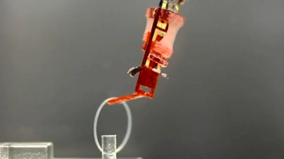 A fost creat un dispozitiv hibrid ce poate revoluţiona lumea roboticii – VIDEO